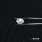 3.57 ct Rainbow Moonstone - iGemz21339