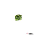 1.51 ct Green Tourmaline - iGemz21438