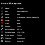 2.66 ct Blue Kyanite - iGemz21915