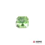 1.81 ct Bi-Colour Tourmaline - iGemz22864