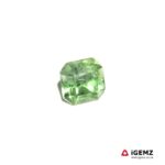 1.81 ct Bi-Colour Tourmaline - iGemz22864