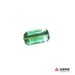 1.17 ct Green Tourmaline - iGemz22888