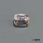 3.26 ct Pink Kunzite - iGemz22974