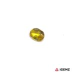 0.24 ct Yellow Sapphire - iGemz23423