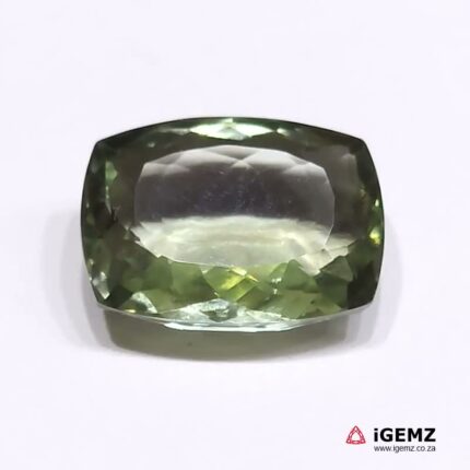 23.4 ct Green Prasiolite - iGemz24654