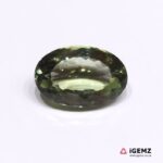 12.7 ct Green Prasiolite - iGemz24656