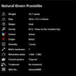 12.7 ct Green Prasiolite - iGemz24656