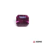 1.13 ct Purple Garnet - iGemz24870