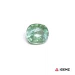 0.94 ct Green Tourmaline - iGemz24881