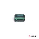 0.66 ct Green Tourmaline - iGemz24893