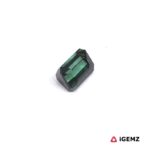 0.66 ct Green Tourmaline - iGemz24893