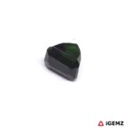 1.1 ct Green Tourmaline - iGemz24896