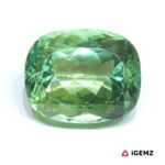 30.94 ct Green Spodumene - iGemz25161