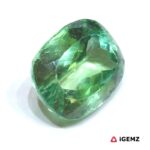 30.94 ct Green Spodumene - iGemz25161