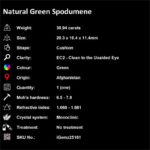 30.94 ct Green Spodumene - iGemz25161