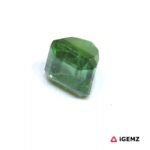 2.9 ct Green Tourmaline - iGemz25169