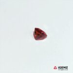 1.38 ct Orange Garnet Spessartite - iGemz21130