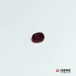 1.23 ct Orange Garnet Spessartite - iGemz21138