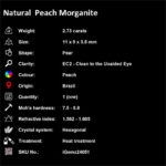 2.73 ct Peach Morganite - iGemz24051