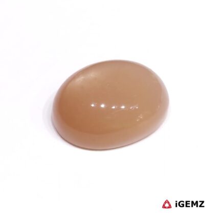 19.78 ct Brown Moonstone - iGemz29092