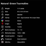 1.11 ct Green Tourmaline - iGemz23614