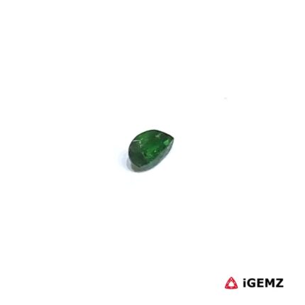 0.14 ct Green Garnet Tsavorite - iGemz30493