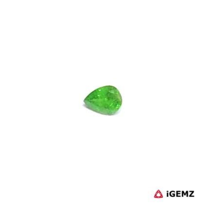 0.19 ct Green Garnet Tsavorite - iGemz30502