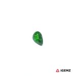 0.2 ct Green Garnet Tsavorite - iGemz30511