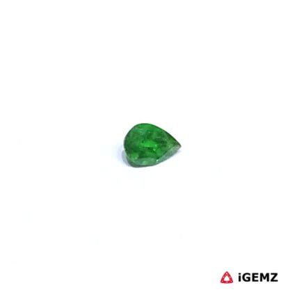0.21 ct Green Garnet Tsavorite - iGemz30514