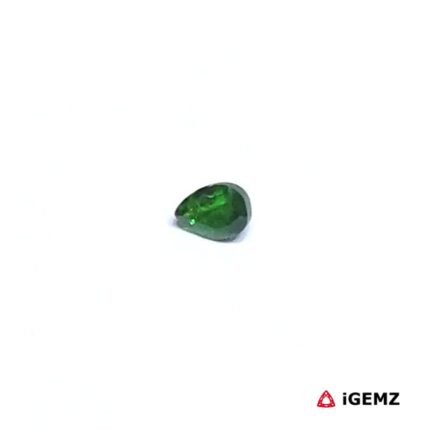 0.24 ct Green Garnet Tsavorite - iGemz30517