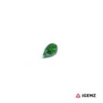 0.15 ct Green Garnet Tsavorite - iGemz30536