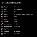 0.31 ct Green Garnet Tsavorite - iGemz30611