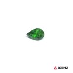 0.31 ct Green Garnet Tsavorite - iGemz30625