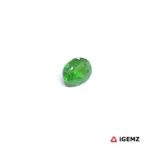 0.38 ct Green Garnet Tsavorite - iGemz30632