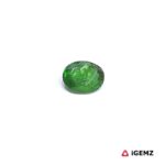 0.45 ct Green Garnet Tsavorite - iGemz30644