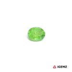0.47 ct Green Garnet Tsavorite - iGemz30645
