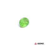0.47 ct Green Garnet Tsavorite - iGemz30645