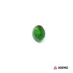 0.52 ct Green Garnet Tsavorite - iGemz30657