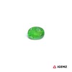 0.39 ct Green Garnet Tsavorite - iGemz30659