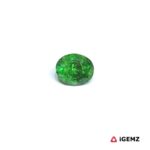 0.61 ct Green Garnet Tsavorite - iGemz30665