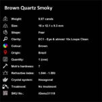 9.97 ct Brown Quartz Smoky - iGemz31110