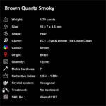 1.79 ct Brown Quartz Smoky - iGemz31117