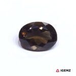 5.79 ct Brown Quartz Smoky - iGemz31154