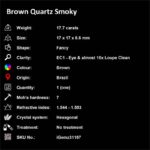 17.7 ct Brown Quartz Smoky - iGemz31167