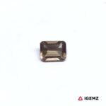 1 ct Brown Quartz Smoky - iGemz31172