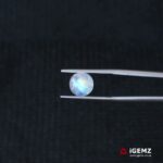 2.39 ct Blue Moonstone - iGemz21192