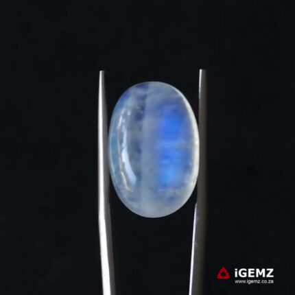 11.44 ct Blue Moonstone - iGemz21194