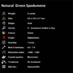 2 ct Green Spodumene - iGemz23334 gemstone for sale at igemz.co.za