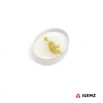 1.4 ct Brown Dendritic Agate - iGemz24461 gemstone for sale at igemz.co.za