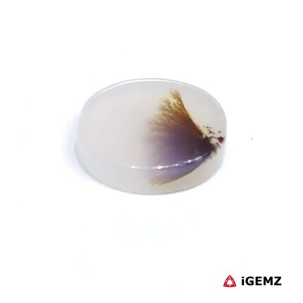 2.48 ct Brown Dendritic Agate - iGemz24480 gemstone for sale at igemz.co.za
